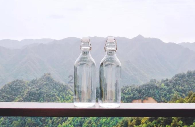 逃离仿真森林